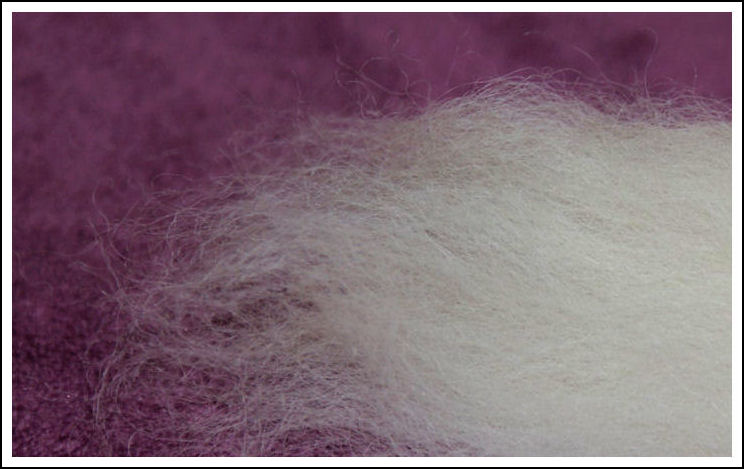 Exmoor Blueface Review - fibres 2