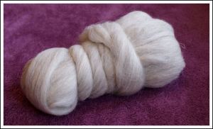Swaledale light grey 