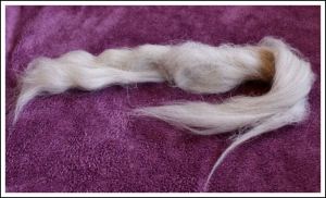 Swaledale light grey sample