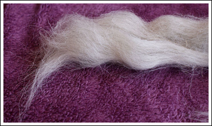 Swaledale light grey fibres