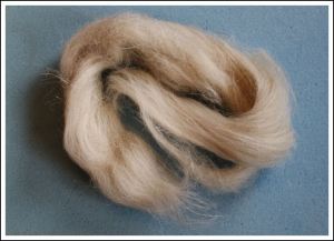 Swaledale light grey