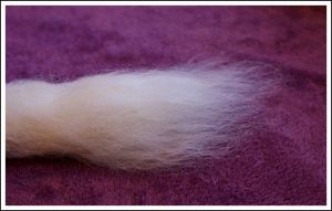 English 56s Fibres Up-Close