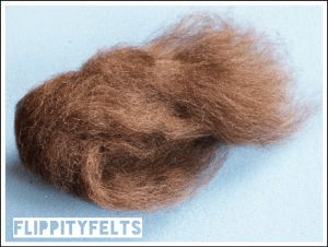 Starting amount of Bluefaced Leicester